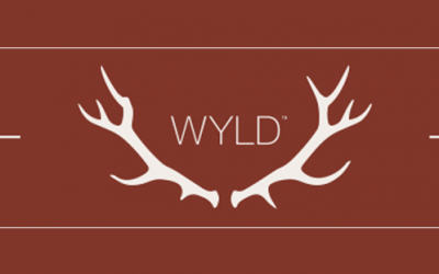 Wyld Vendor Day – 11/18/23 12PM-2PM