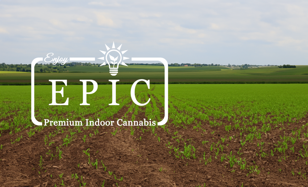 EPIC Sunshine High End Market Place Cannabis