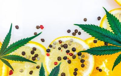 Terpenes: Transforming the Cannabis Experience