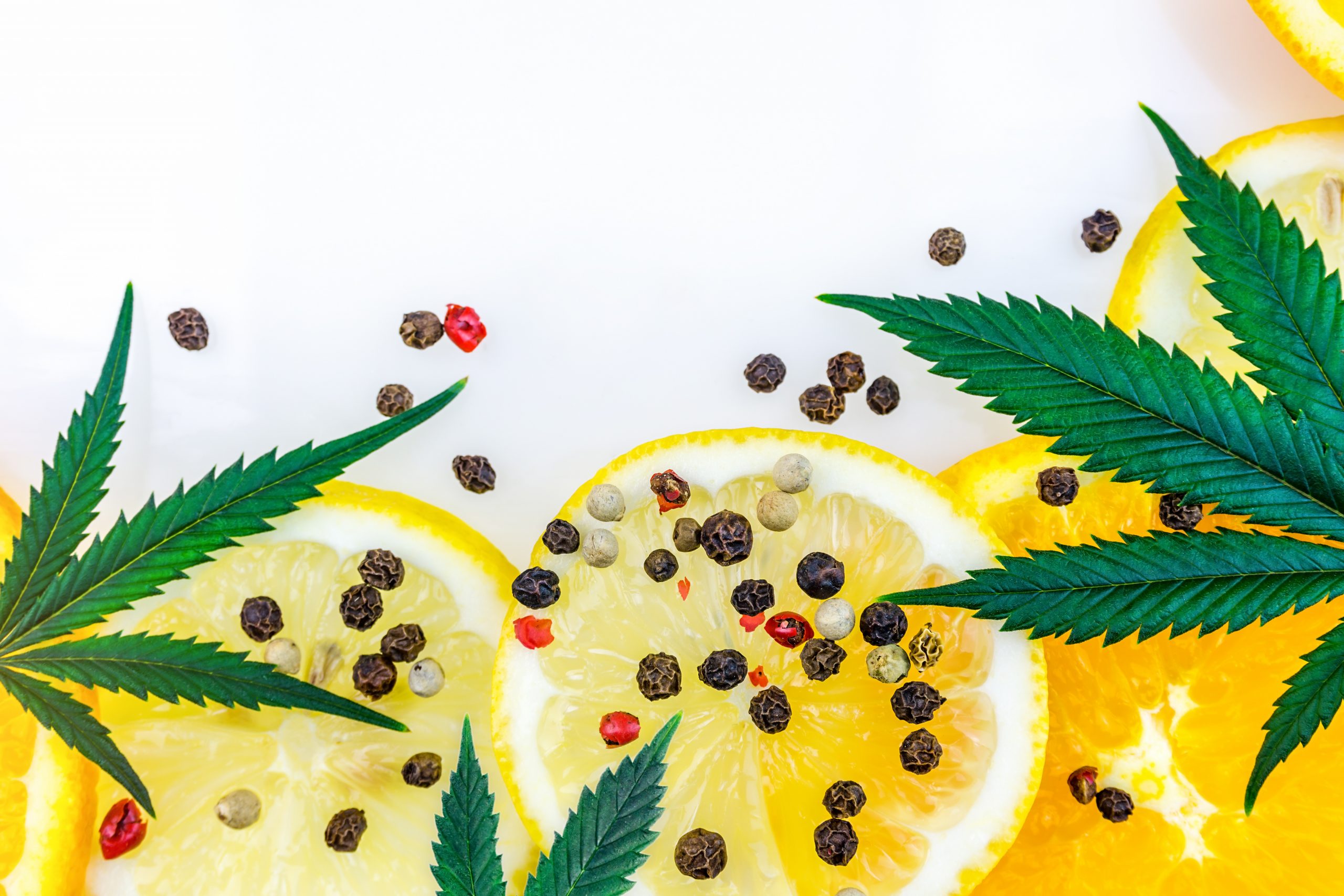 High End Cannabis