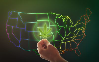 New York’s Cannabis Market Set to Expand Dramatically in 2025