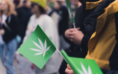 The DEA’s Cannabis Rescheduling Hearing: A Setback for Reform in 2024