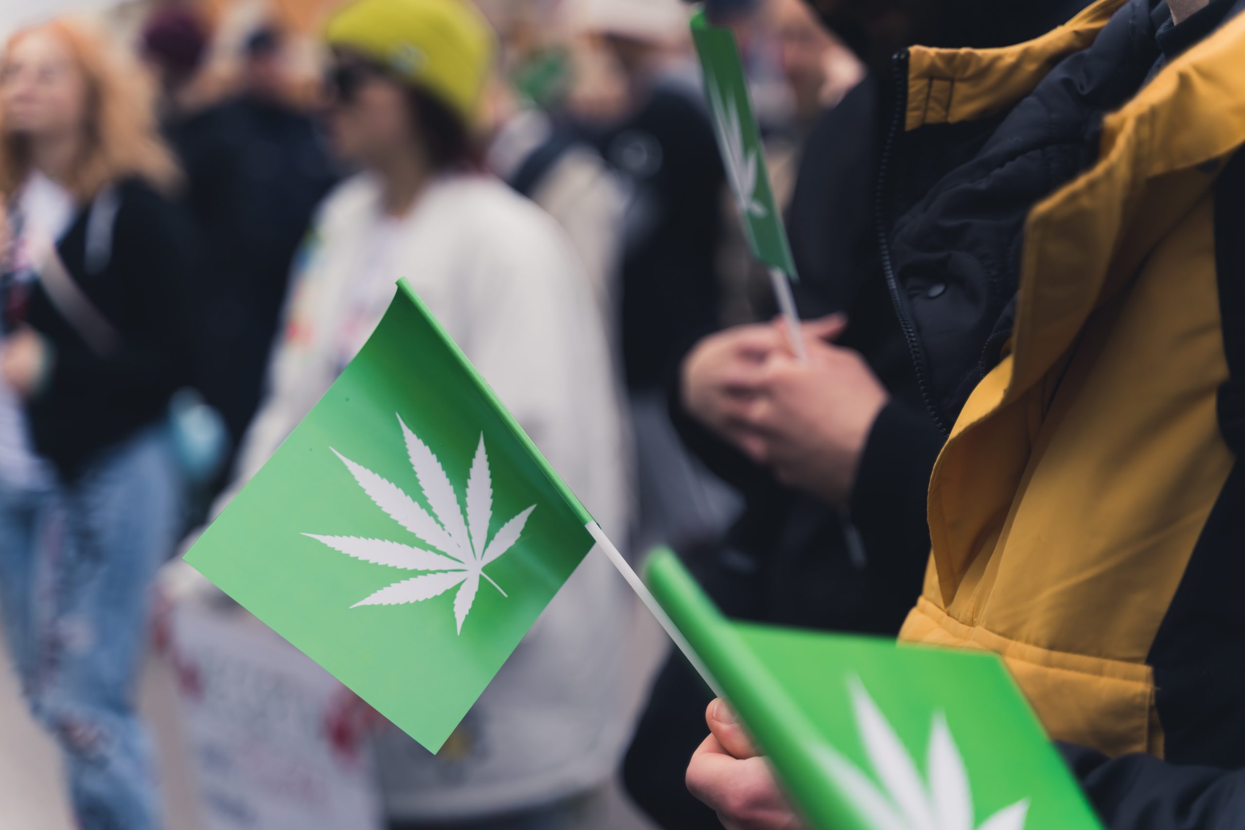 High End Cannabis | Legal Cannabis
