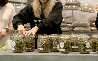 Cannabis Dispensaries: More Than Just Retail