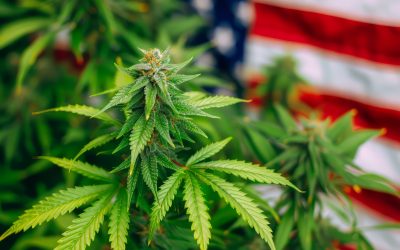 The U.S. Cannabis Roundtable: Paving the Way for Federal Reform