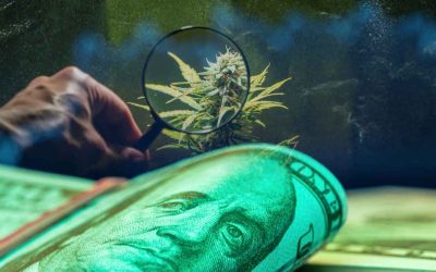 Germany’s Cannabis Market Paves the Way for Global Industry Expansion