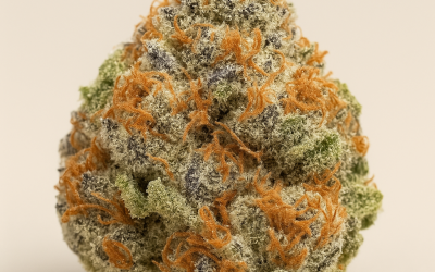 The Top 5 Cannabis Strains in the U.S. (2025)