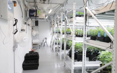 How Cannabis Dispensaries Are Using Technology to Stay Ahead in 2025
