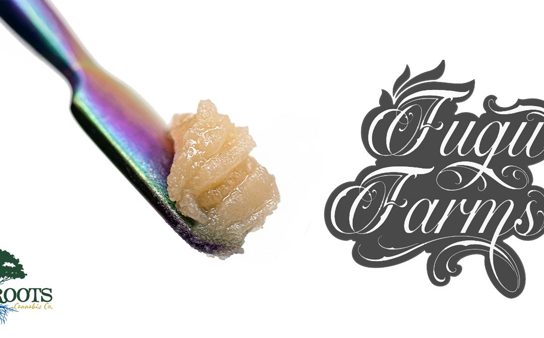 Fugu Farms: Solventless Craft with Blue Roots Cannabis