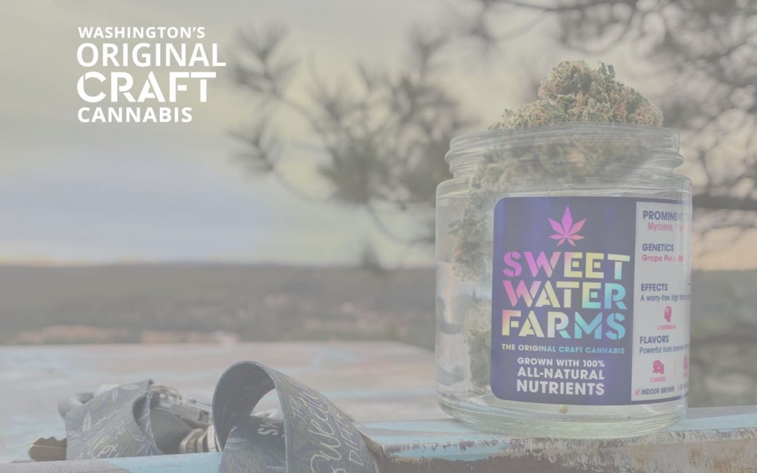 Sweetwater Farms Cannabis: Craft Cultivation in Washington’s Legal Market