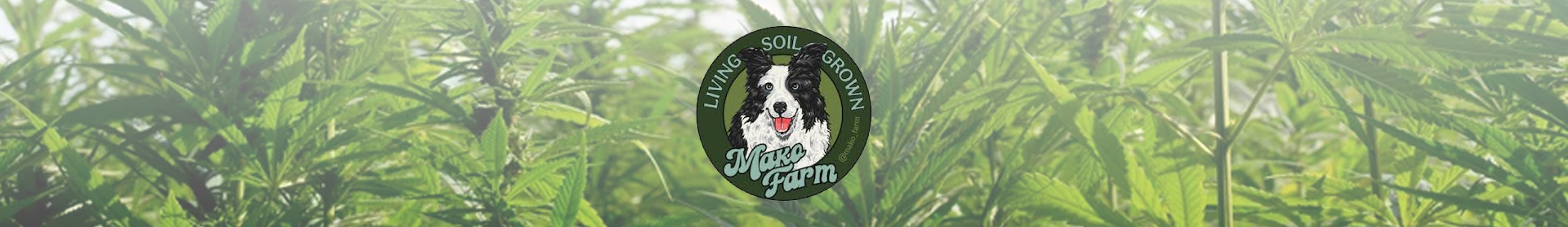 MAKO FARM CANNABIS