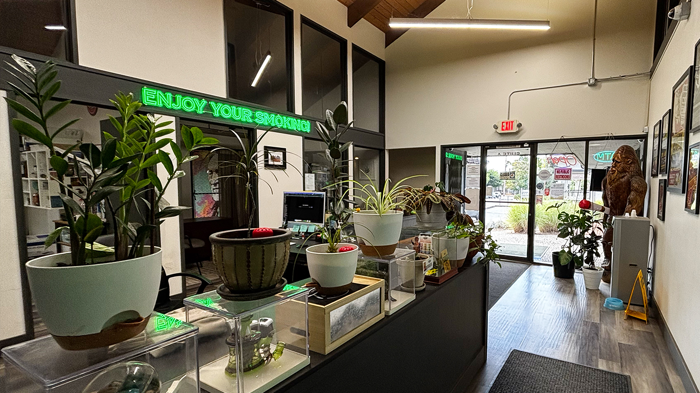 Cannabis Dispensary Store Inside | High End Market Place